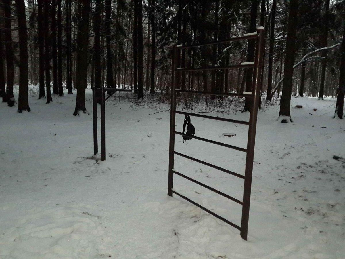 Outdoor Gym - Moscow - Moscow - Calisthenics Gym - Балаклавский Проспект - Russia - Spot