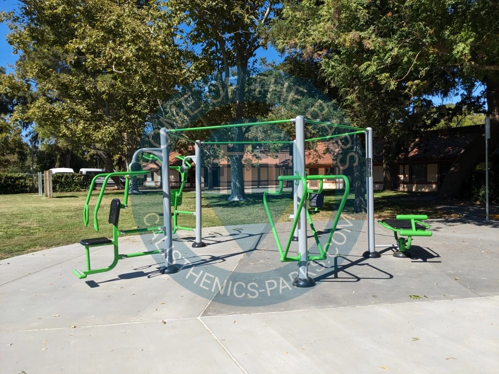 Calisthenics park in 
Address
                                    635 B Street, Davis, California 95616, United States
                            