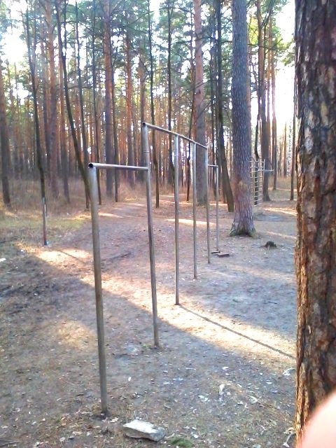 Fitness Park - Yekaterinburg - Yekaterinburg - Calisthenics Park - FaReva - Russia - Spot