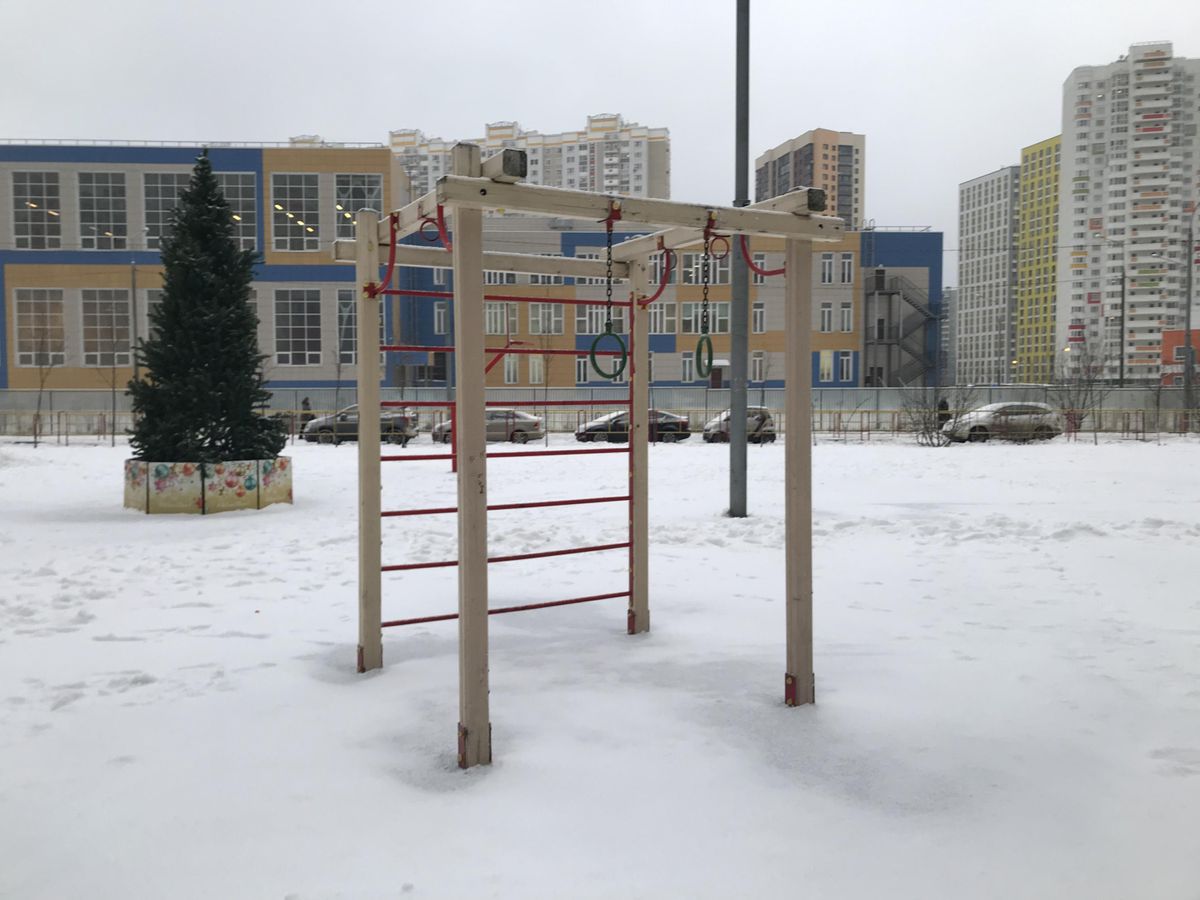 Calisthenics park in 16 к2, Совхозная улица, Левобережный, Химки, городской округ Химки, Московская область, Центральный федеральный округ, 141406, Россия