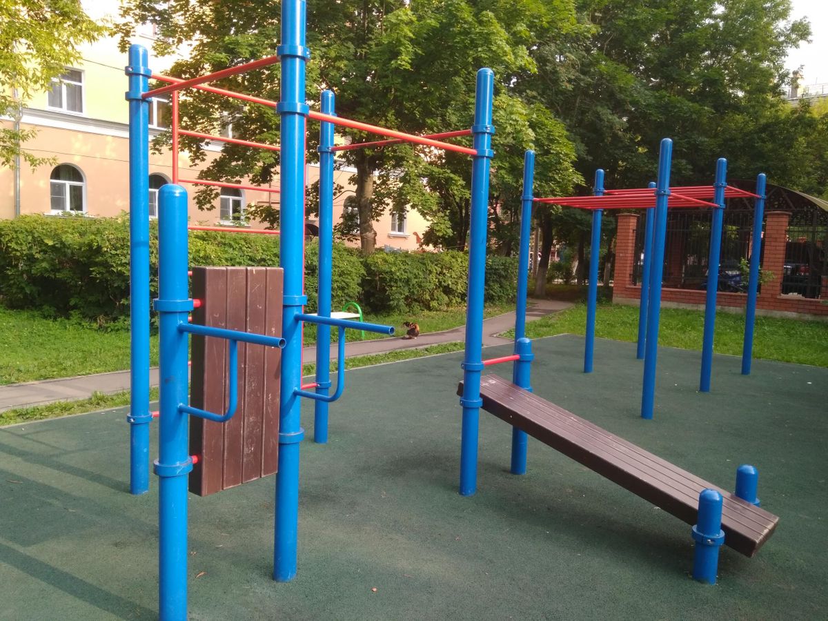 Calisthenics park in 8, Западная улица, Климовск, Подольск, городской округ Подольск, Московская область, Центральный федеральный округ, 142100, Россия