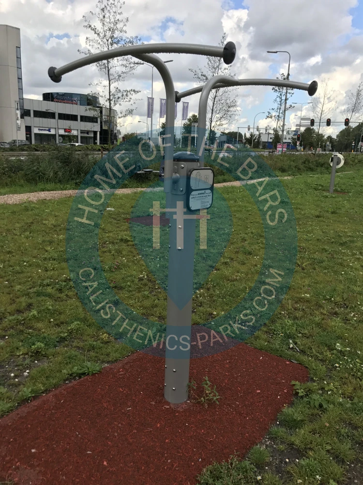 Calisthenics park in Starbucks, 19, Vrijenbanselaan, Rijswijk Zuid, 't Haantje, Rijswijk, Zuid-Holland, Nederland, 2289 EX, Nederland