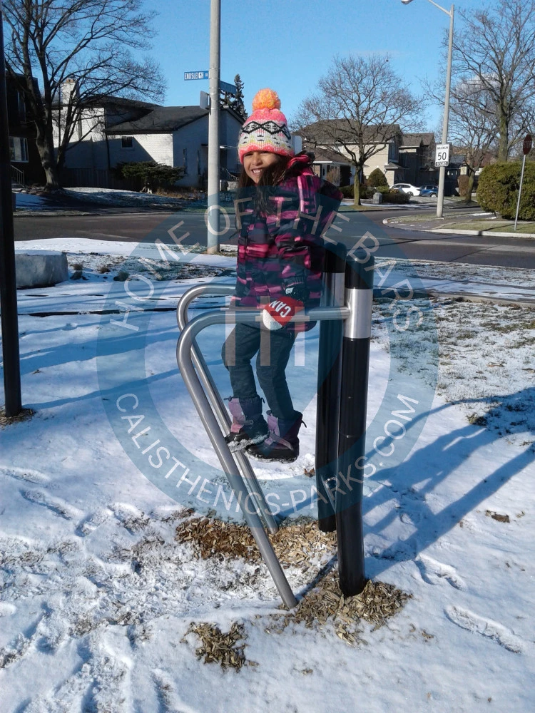 Calisthenics park in 33, Endsleigh Crescent, Brian Village, Don Valley North, North York, Toronto, Golden Horseshoe, Ontario, M2J 3W3, Canada