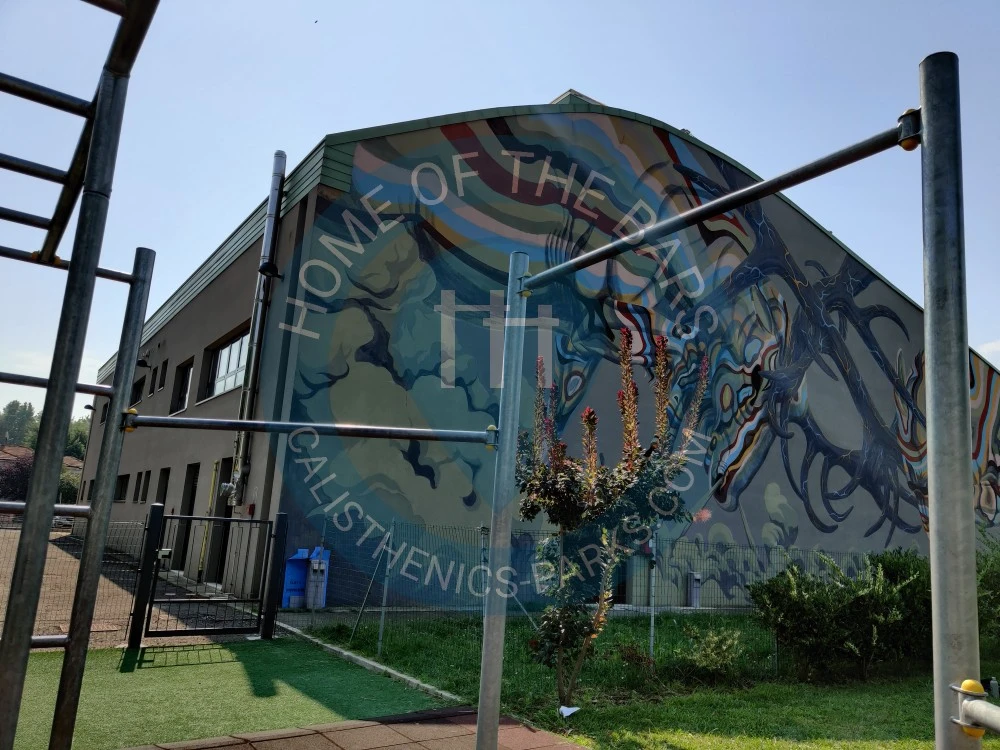 Calisthenics park in Palestra di Novi, Piazzale delle Scuole, Novi di Modena, Unione delle Terre d'Argine, Modena, Emilia-Romagna, 41016, Italia