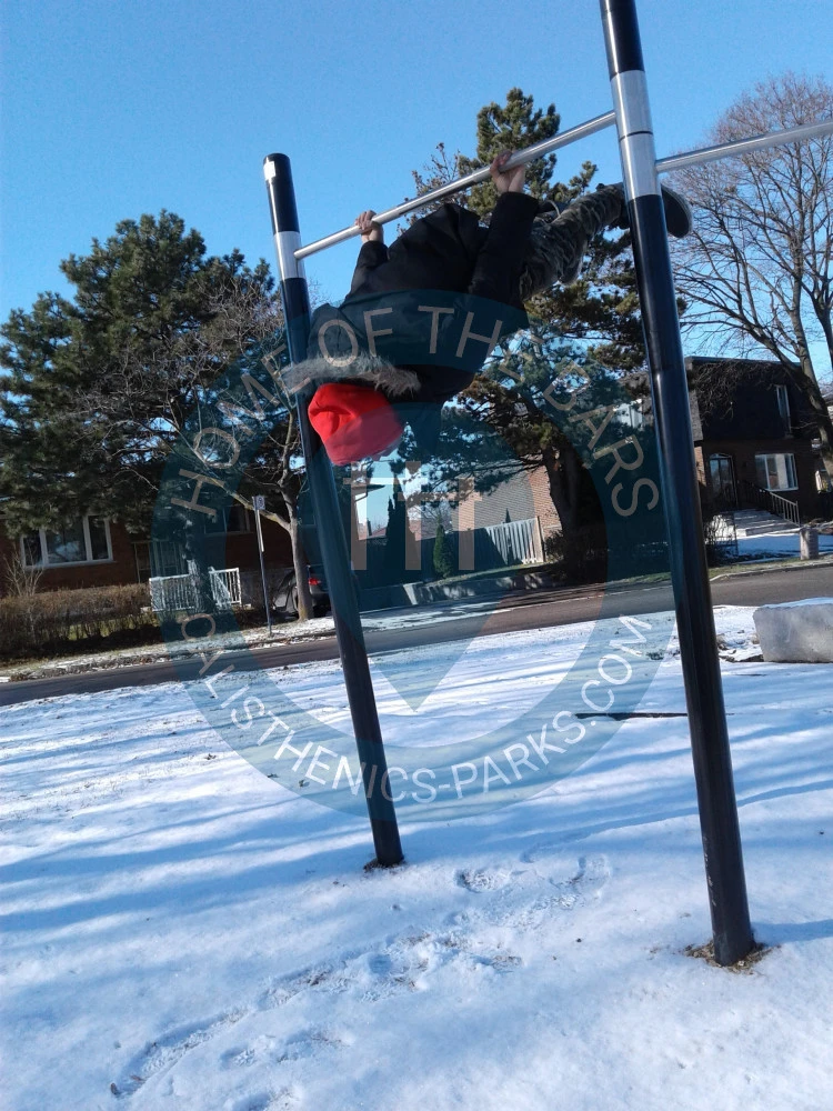 Calisthenics park in 33, Endsleigh Crescent, Brian Village, Don Valley North, North York, Toronto, Golden Horseshoe, Ontario, M2J 3W3, Canada