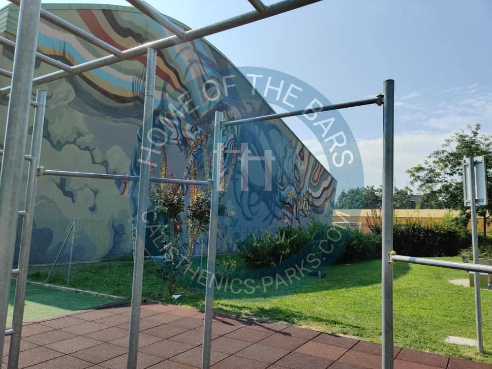 Calisthenics park in Palestra di Novi, Piazzale delle Scuole, Novi di Modena, Unione delle Terre d'Argine, Modena, Emilia-Romagna, 41016, Italia