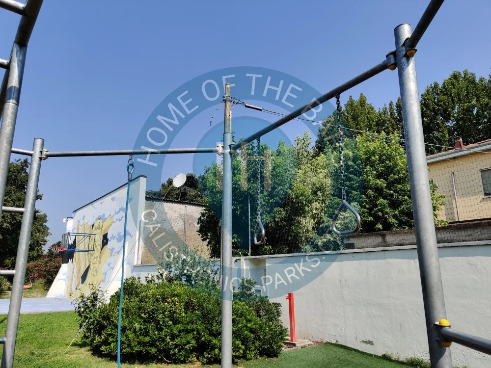 Calisthenics park in Palestra di Novi, Piazzale delle Scuole, Novi di Modena, Unione delle Terre d'Argine, Modena, Emilia-Romagna, 41016, Italia