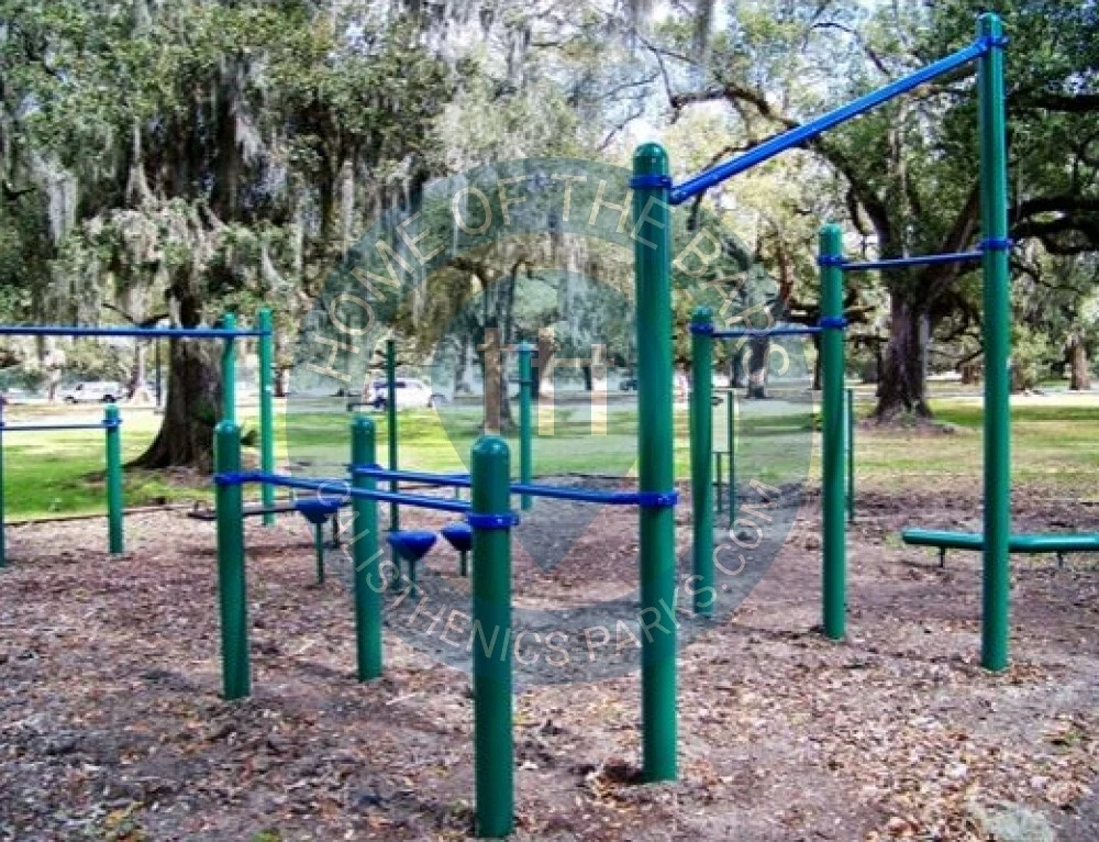 New Orleans - Street Workout Park - City Park 2 - United States - Spot