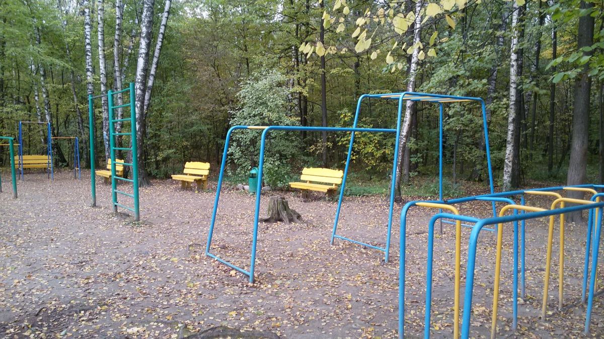 Fitness Park - Moscow - Moscow - Calisthenics Park - Улица Дыбенко - Russia - Spot