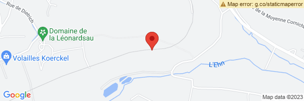 spot maps