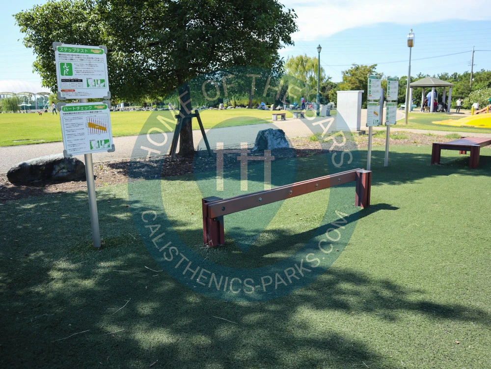 Calisthenics park in 本郷町一丁目, 碧南市, 愛知県, 475-0803, 日本