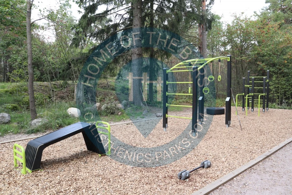 Outdoor fitness training - Espoo - Calisthenics workout - Finland - Spot