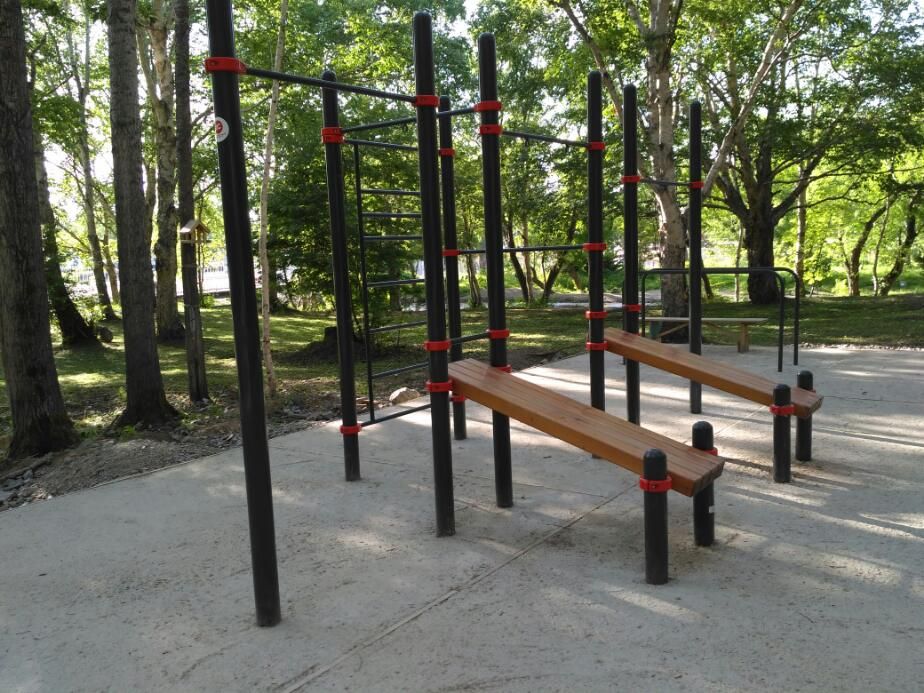 Outdoor Gym - Yuzhno-Sakhalinsk - Yuzhno-Sakhalinsk - Aire de Fitness - Стадион Космос - Russia - Spot