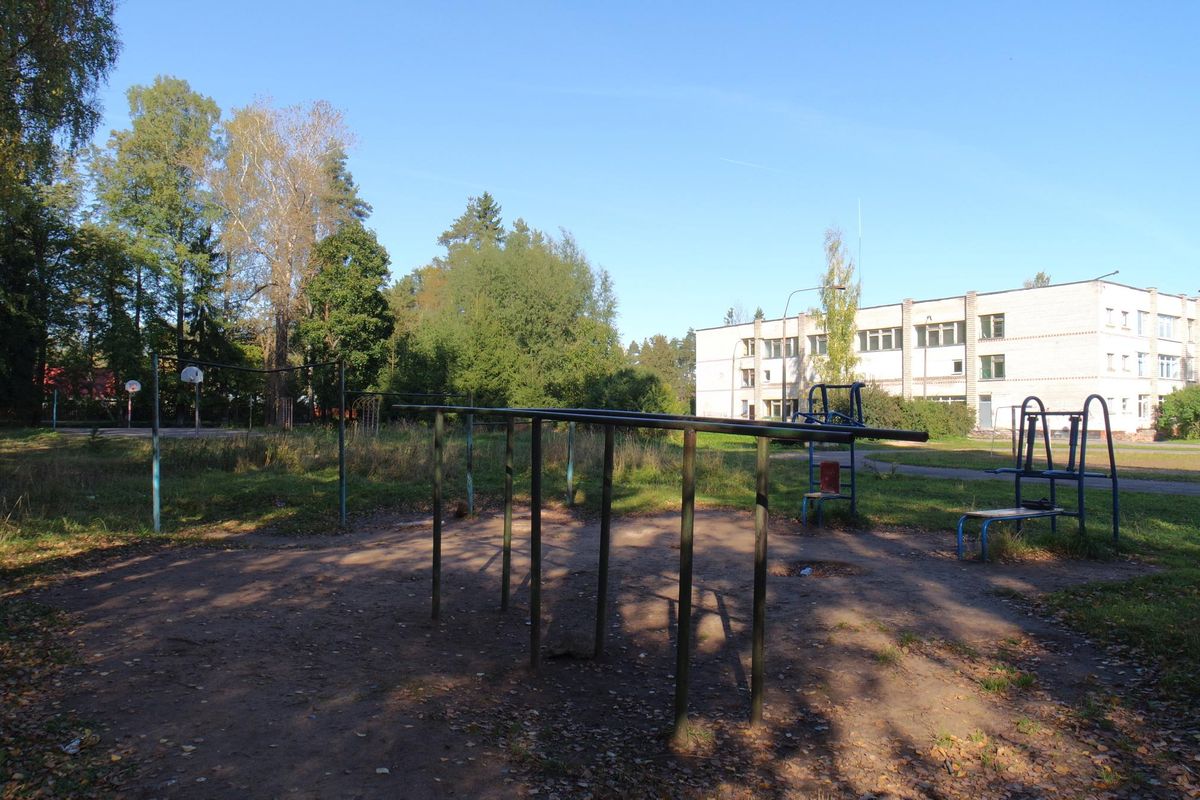 Outdoor Gym - Vyritskoe - Vyritskoe - Calisthenics Park - Школа №1 - Russia - Spot