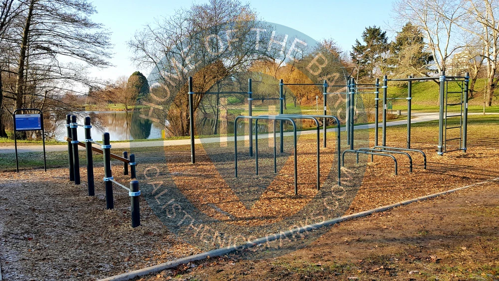 Tours - Calisthenics Facility - Parc du Lac - France - Spot