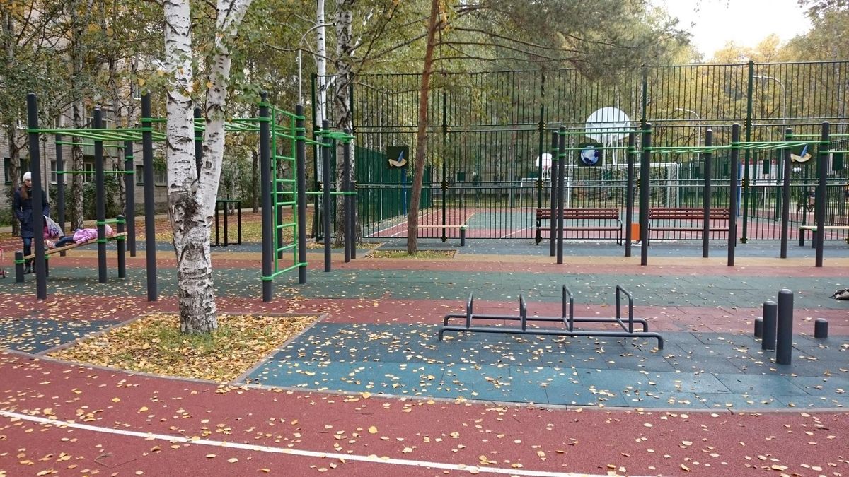Outdoor Gym - Tyumen - Tyumen - Street Workout Park - Улица Холодильная - Russia - Spot
