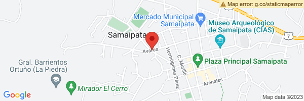 spot maps