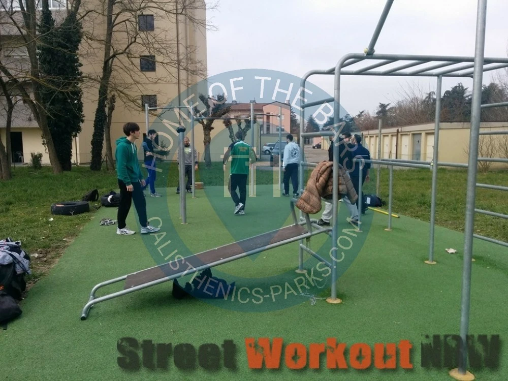 Calisthenics park in Area sgambamento cani, Via Valle Campazzo, Villa Fulvia, Ferrara, Emilia-Romagna, 44124, Italia