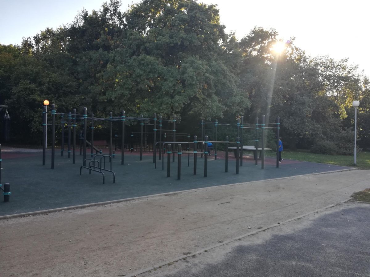 Calisthenics park in 45, улица Архитектора Власова, Обручевский район, Москва, Центральный федеральный округ, 117393, Россия