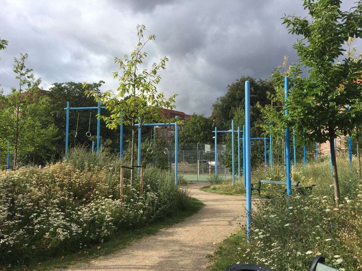Outdoor Gym - Copenhagen - Copenhagen - Calisthenics Park - Guldbergs Plads - Denmark - Spot