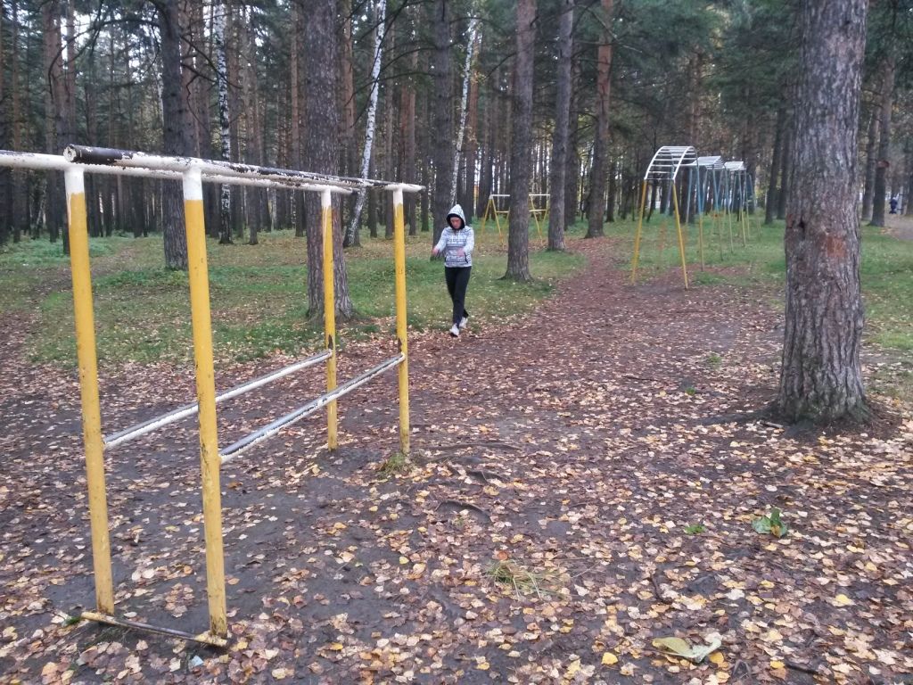 Outdoor Gym - Yekaterinburg - Yekaterinburg - Street Workout Park - Парк-Стадион Химмаш - Russia - Spot