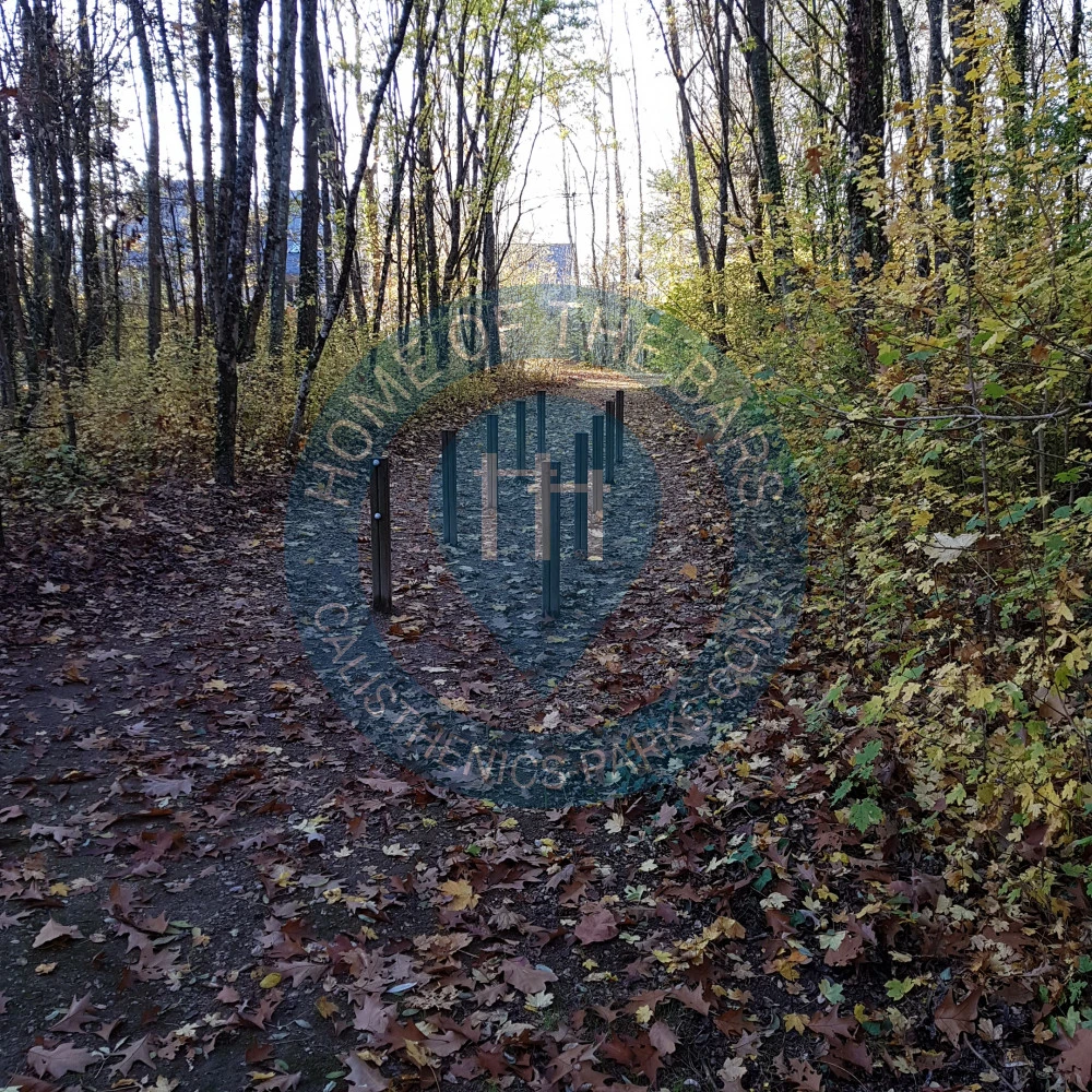 Calisthenics park in 1, Avenue de la Pinçonnière, Pinçonnière, Nord, Blois, Loir-et-Cher, Centre-Val de Loire, France métropolitaine, 41000, France