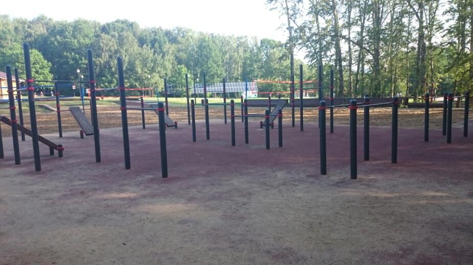 Calisthenics park in 12, улица Академика Виноградова, район Тёплый Стан, Москва, Центральный федеральный округ, 117133, Россия