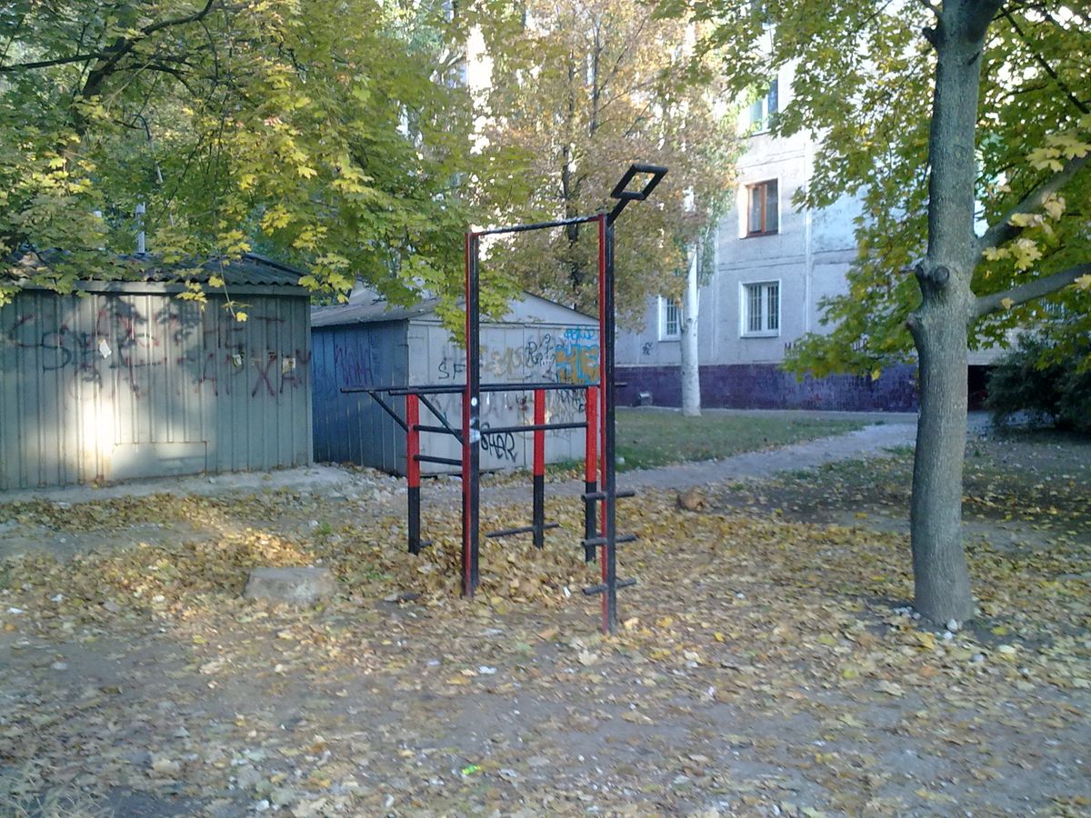 Outdoor Gym - Zaporizhzhya - Zaporizhzhya - Street Workout Park - Шашлычная №1 - Ukraine - Spot