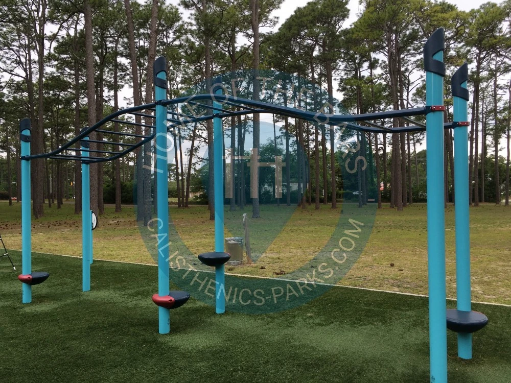 Outdoor Gym - Wilmington - Long Leaf Park Outdoor Gym - United States - Spot