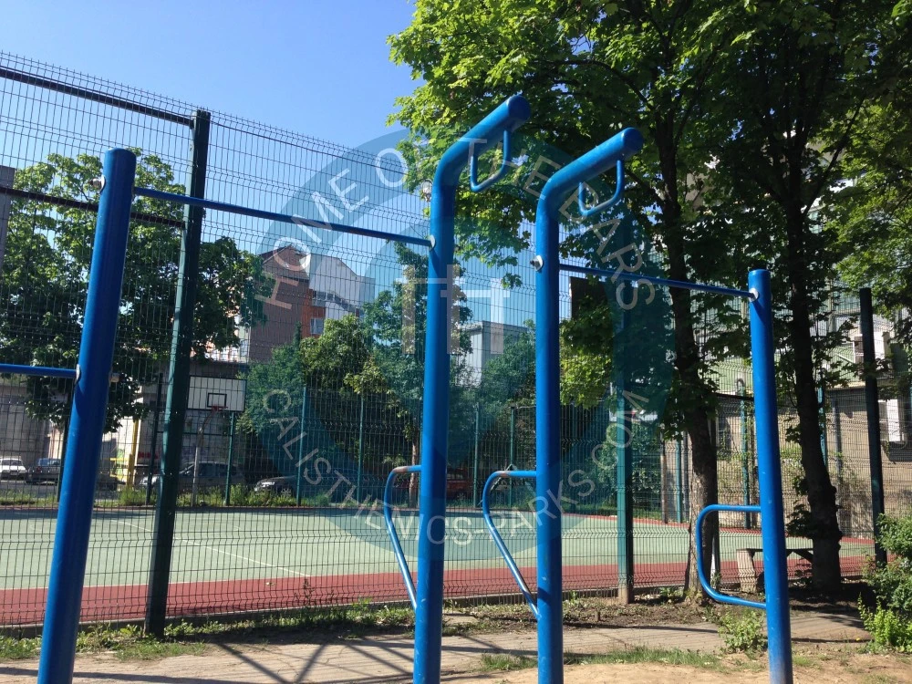 Timișoara - Calisthenics Park - Facultatea de Educație Fizică și Sport - Romania - Spot