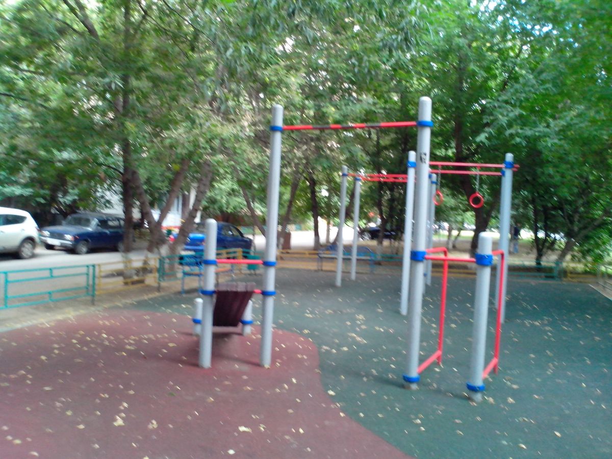 Calisthenics park in 9, Кавказский бульвар, район Царицыно, Москва, Центральный федеральный округ, 115304, Россия