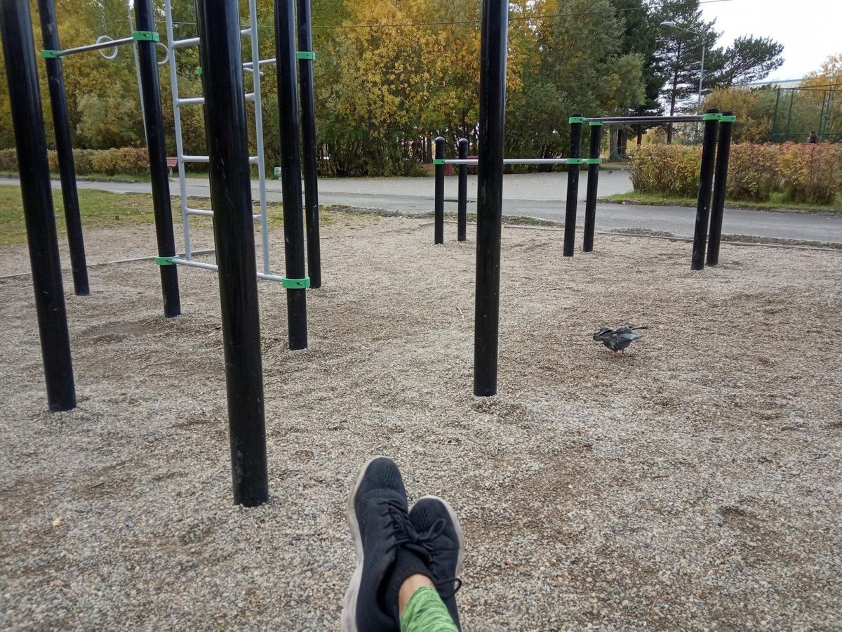 Outdoor Gym - Surgut - Surgut - Fitness Park - Саймовская Улица - Russia - Spot