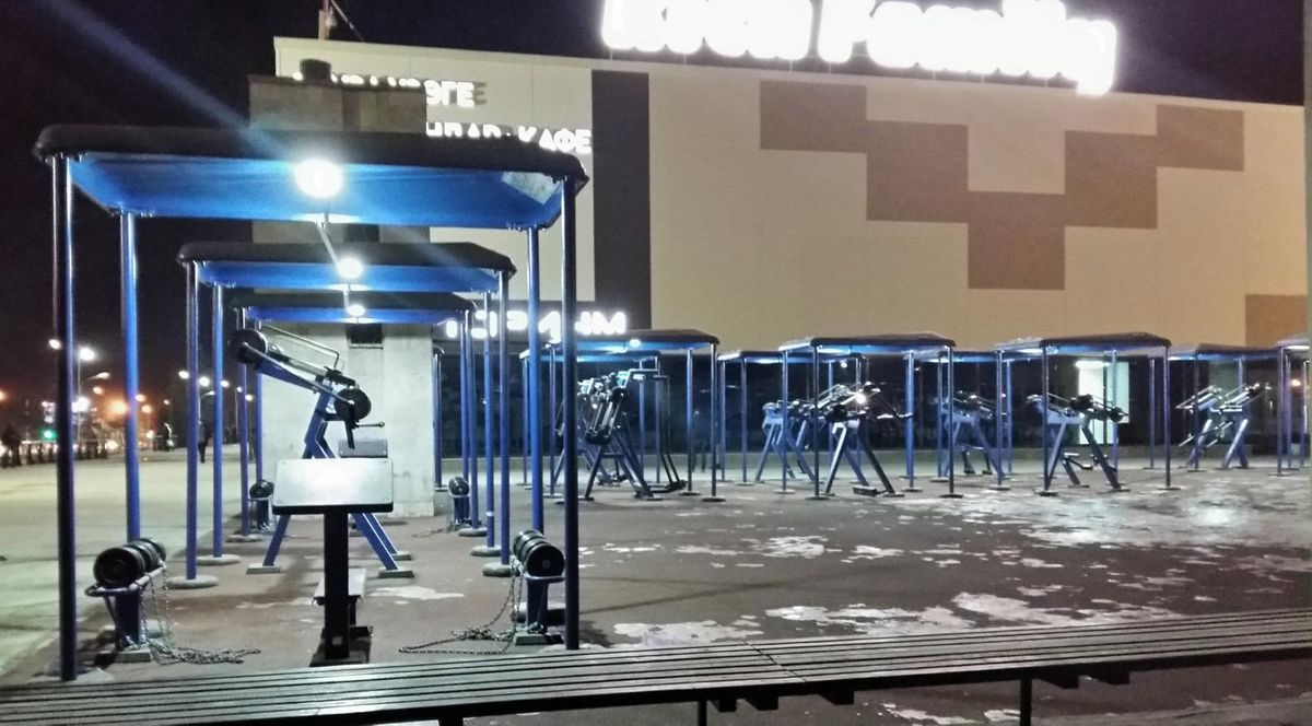 Outdoor Gym - Ufa - Ufa - Fitness Park - Биофлора - Russia - Spot