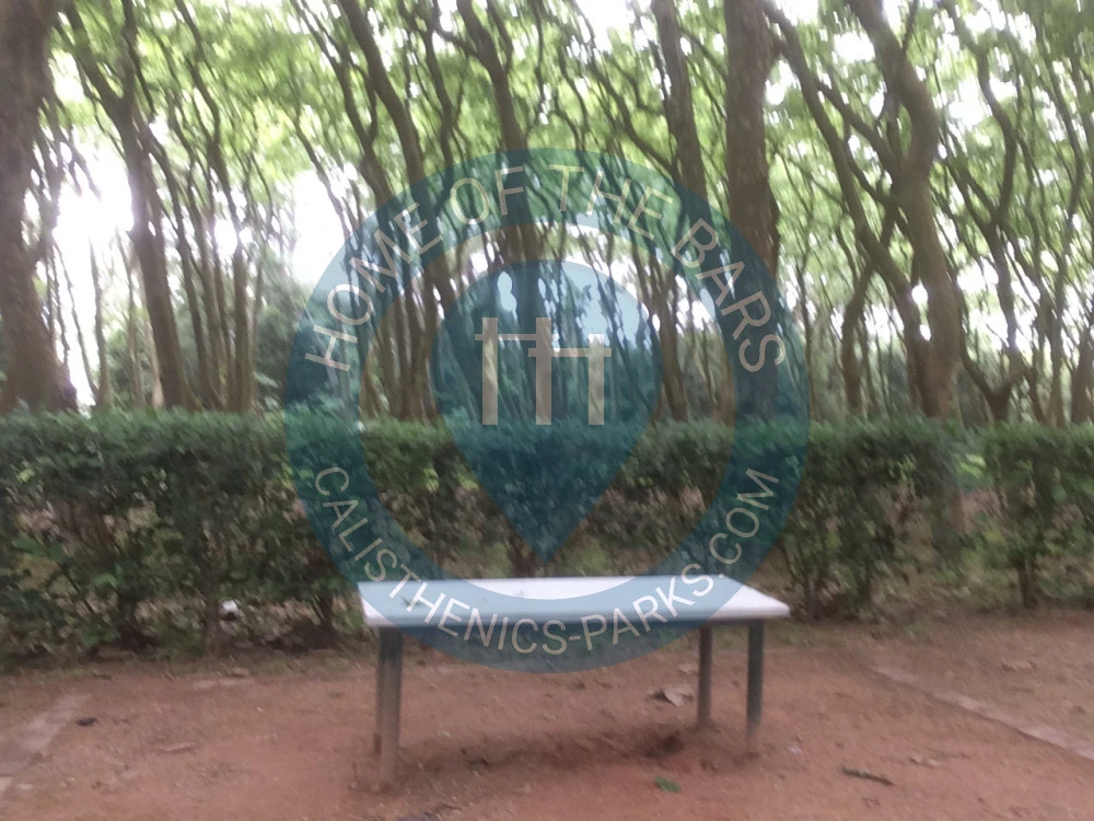 Calisthenics park in Pavilhão Desportivo da Mata, Trilho da Mata, Encosta do Sol, Nossa Senhora do Pópulo, Nossa Senhora do Pópulo, Coto e São Gregório, Caldas da Rainha, Leiria, 2500-189, Portugal