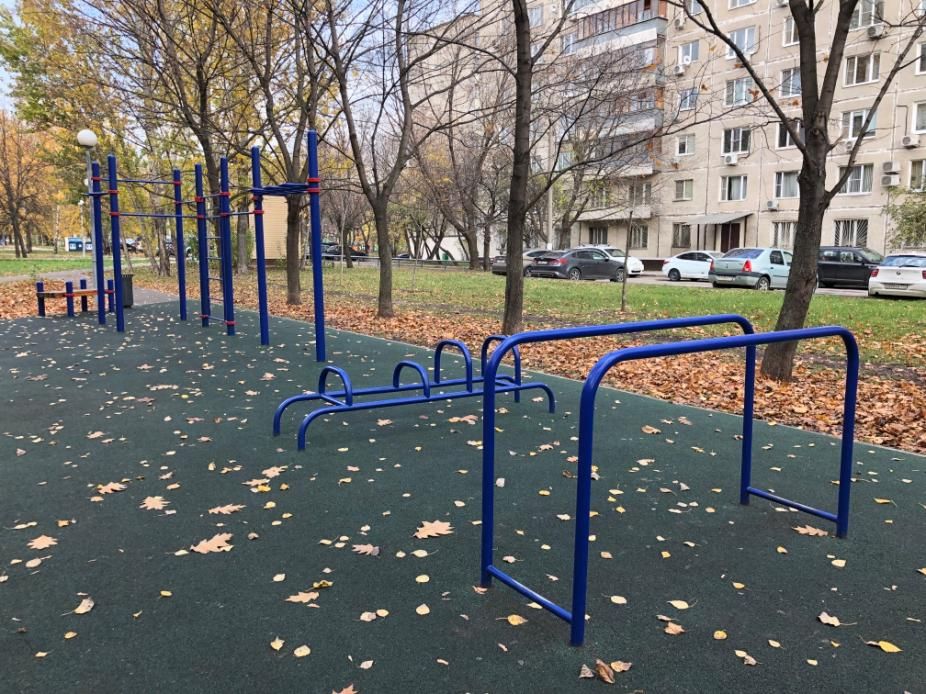 Calisthenics park in 12, улица Бестужевых, район Отрадное, Москва, Центральный федеральный округ, 127566, Россия