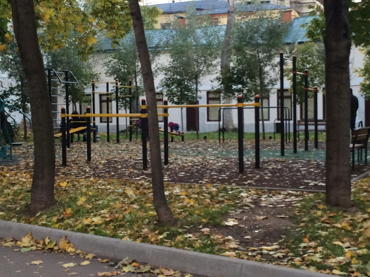 Calisthenics park in 7-7А-9/10 с 10, 5-й Монетчиковский переулок, район Замоскворечье, Москва, Центральный федеральный округ, 115054, Россия