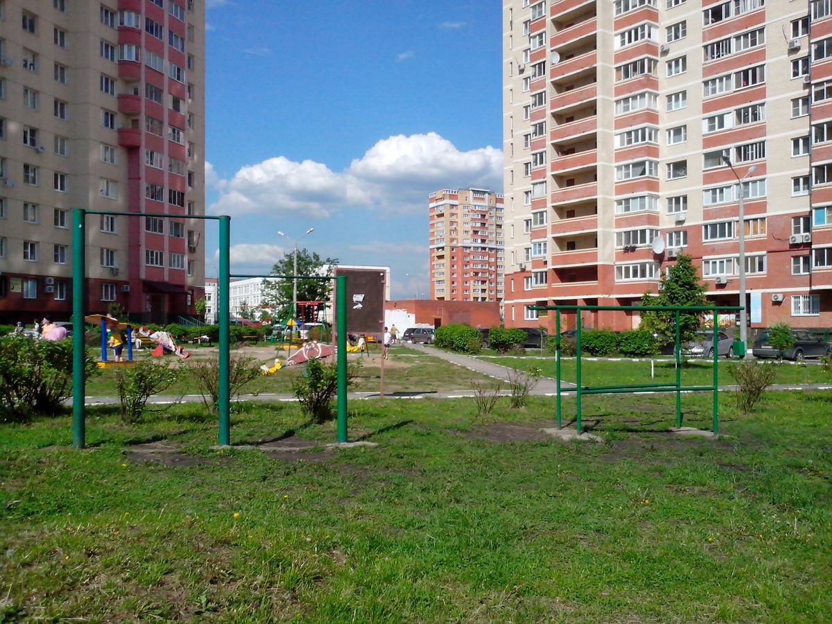 Outdoor fitness training - Krasnogorsk - Calisthenics workout - Russia - Spot