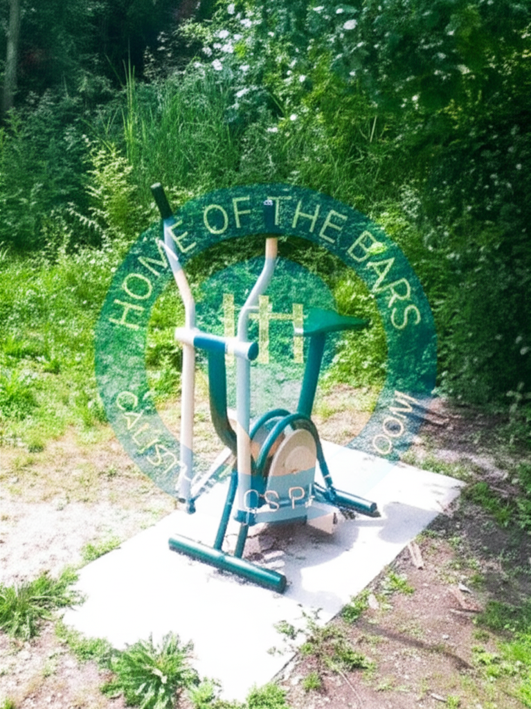 Calisthenics park in Colony Court, Rossford, Wood County, Ohio, 43460, United States