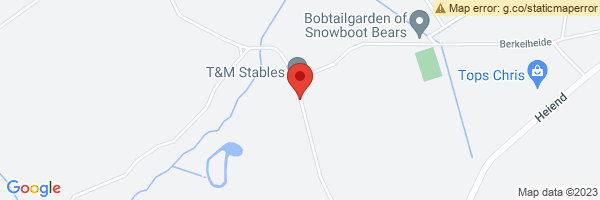 spot maps