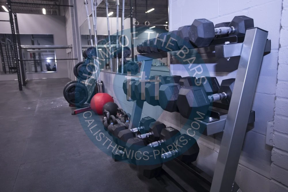 Ultimate Calisthenics - Indoor Calisthenics Gym & School - Toronto - Canada - Spot