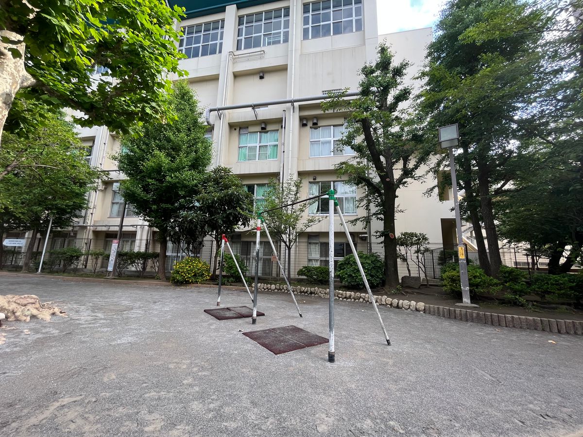 Outdoor workout - Tokyo - Calisthenics workout - Japan - Spot