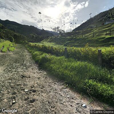 Salento - Outdoor Gym - Valle de cocora - Colombia - Spot