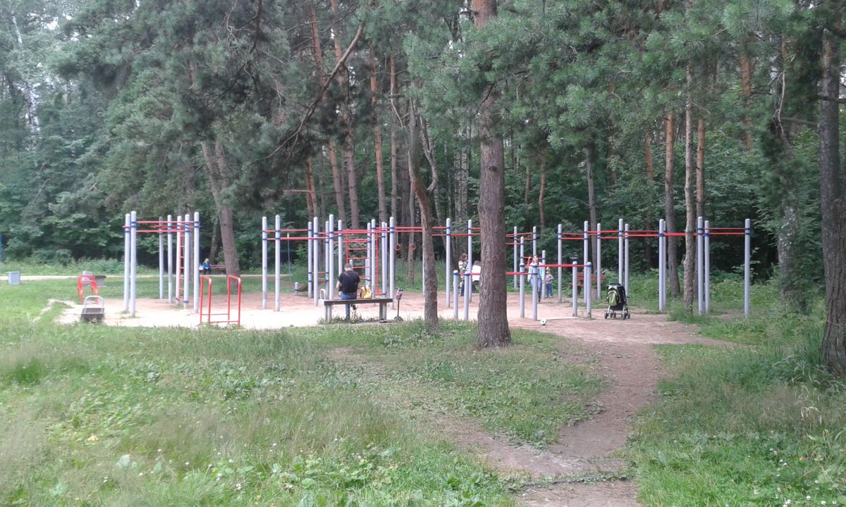 Calisthenics park in 14, 16-я Парковая улица, район Восточное Измайлово, Москва, Центральный федеральный округ, 105203, Россия