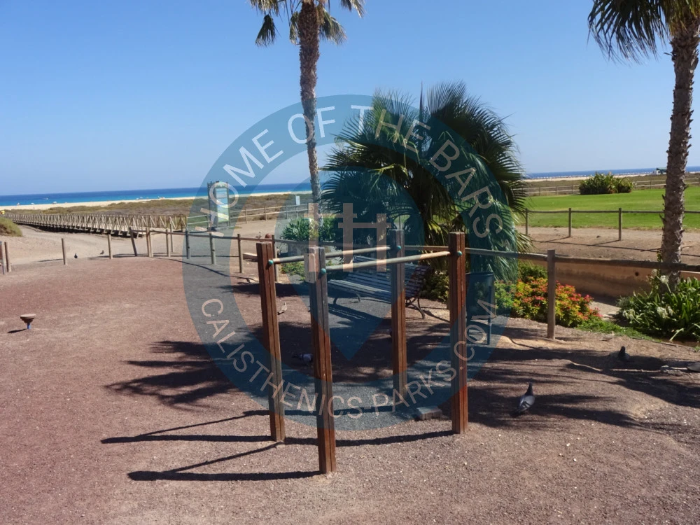 Calisthenics park in Esqueleto de Cachalote, Avenida del Matorral, Solana Matorral, Pájara, Las Palmas, Canarias, 35625, España