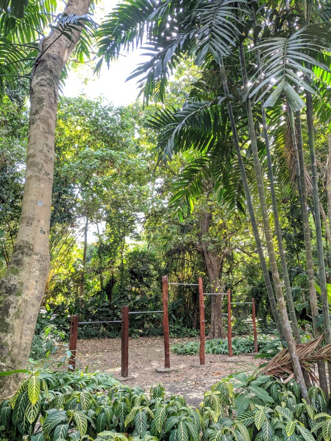 Outdoor Gym - Quezon City - Quezon City - Street Workout Park - La Mesa Ecopark - Philippines - Spot