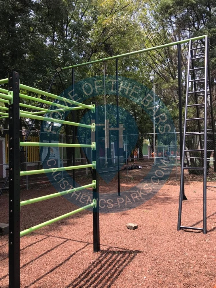 Calisthenics park in La Fragata, Calle Abasolo, Colonia Del Carmen, Coyoacán, Ciudad de México, 04100, México