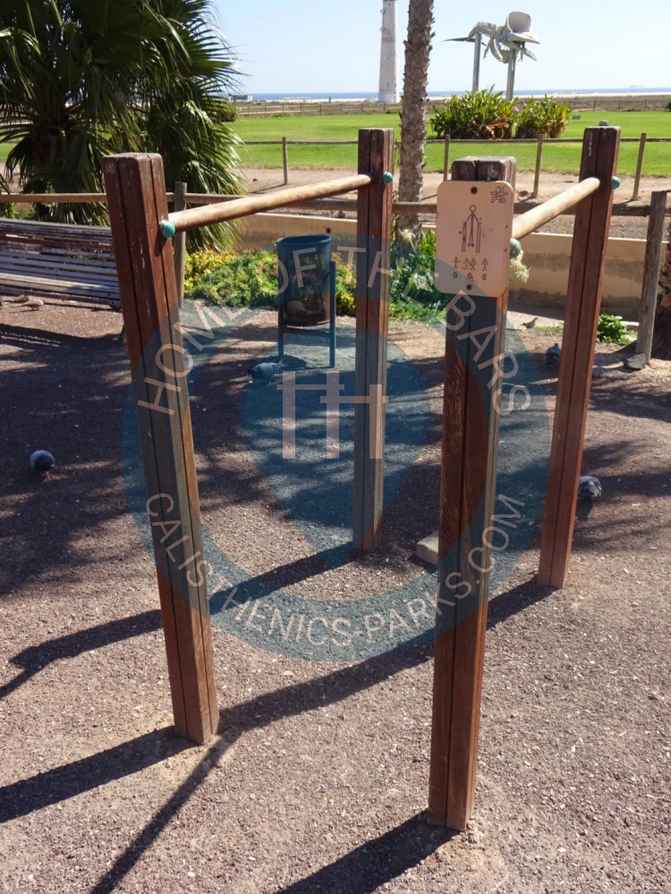 Calisthenics park in Esqueleto de Cachalote, Avenida del Matorral, Solana Matorral, Pájara, Las Palmas, Canarias, 35625, España