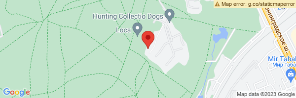 spot maps