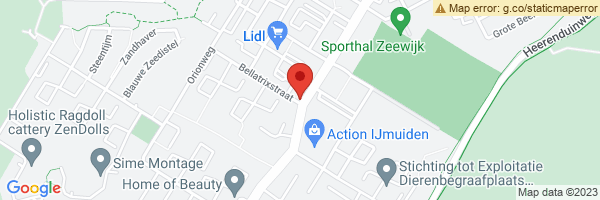 spot maps