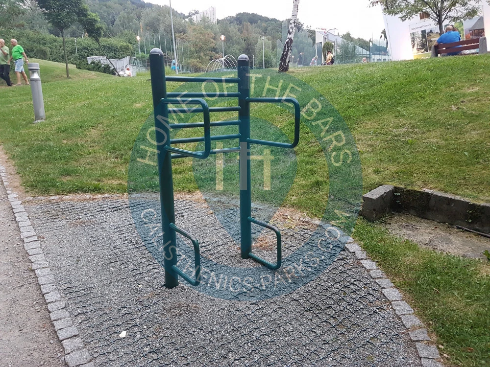Calisthenics park in Pijalnia Wód, 9, Sanatoryjna, Zawodzie Górne, Poniwiec, Ustroń, powiat cieszyński, województwo śląskie, 43-450, Polska